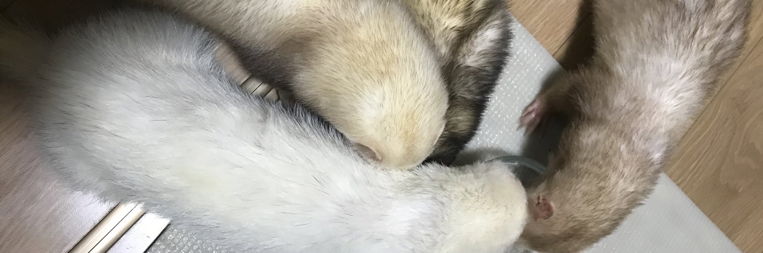 ZXyve's profile banner image
