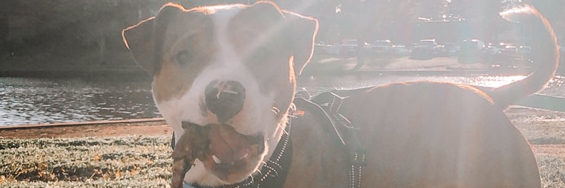 aliblach_'s profile banner image