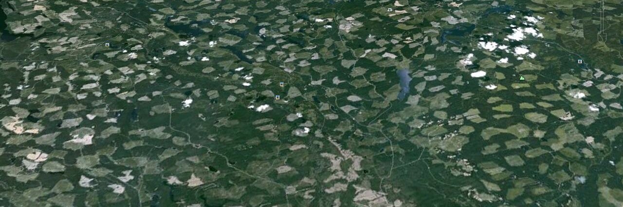 Anthony Britneff banner