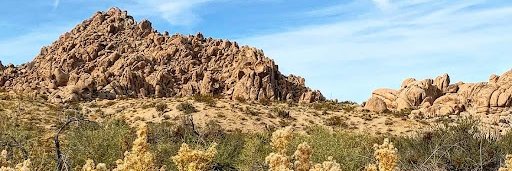 HollyHolcombe's profile banner image
