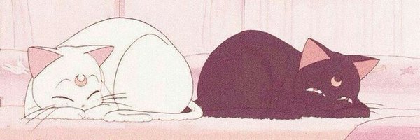 AstridDzib's profile banner image