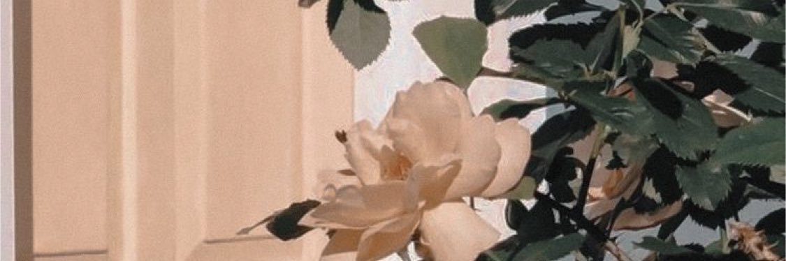 miss_h1992's profile banner image
