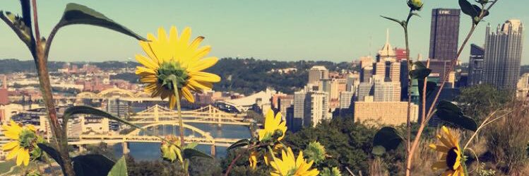 rach_evans3's profile banner image
