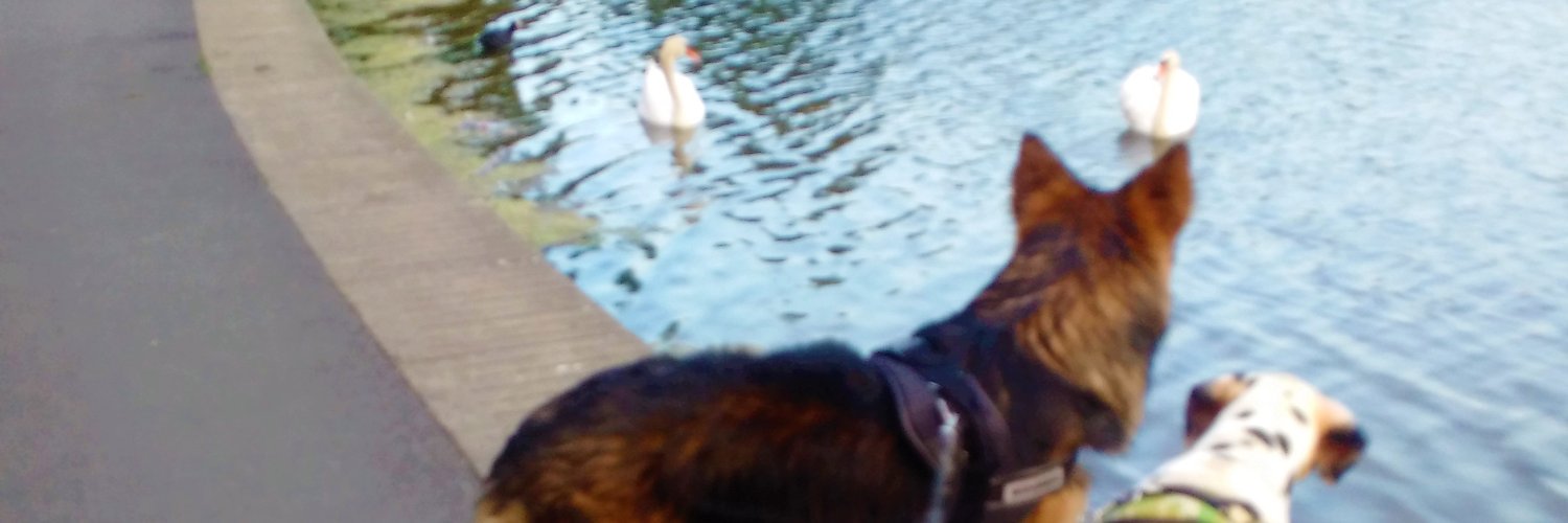 WithMarlon's profile banner image