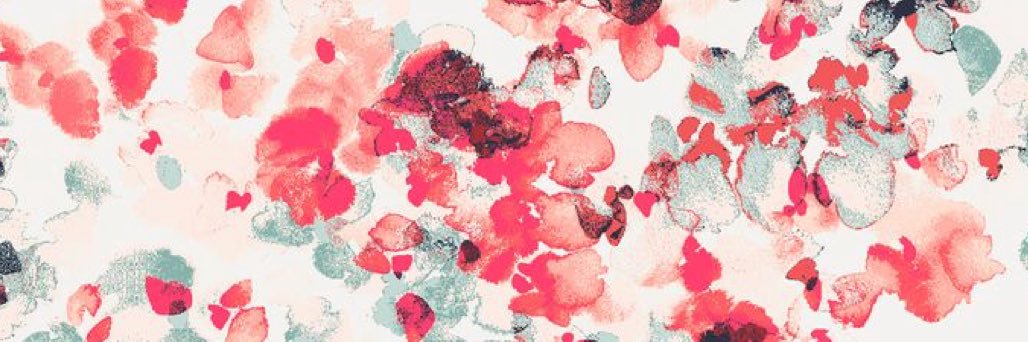 becca banner
