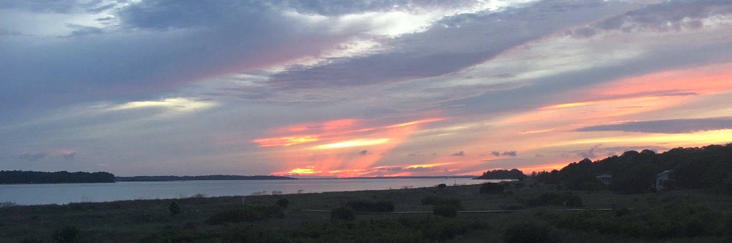 Austin Greene banner