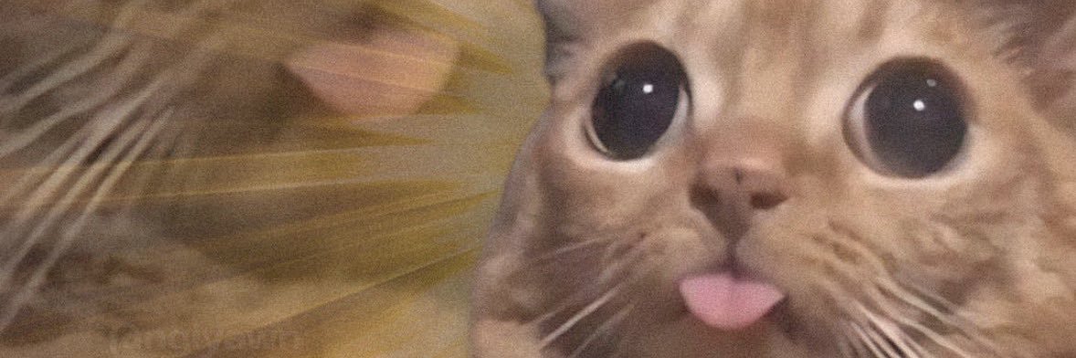 losttpoet's profile banner image