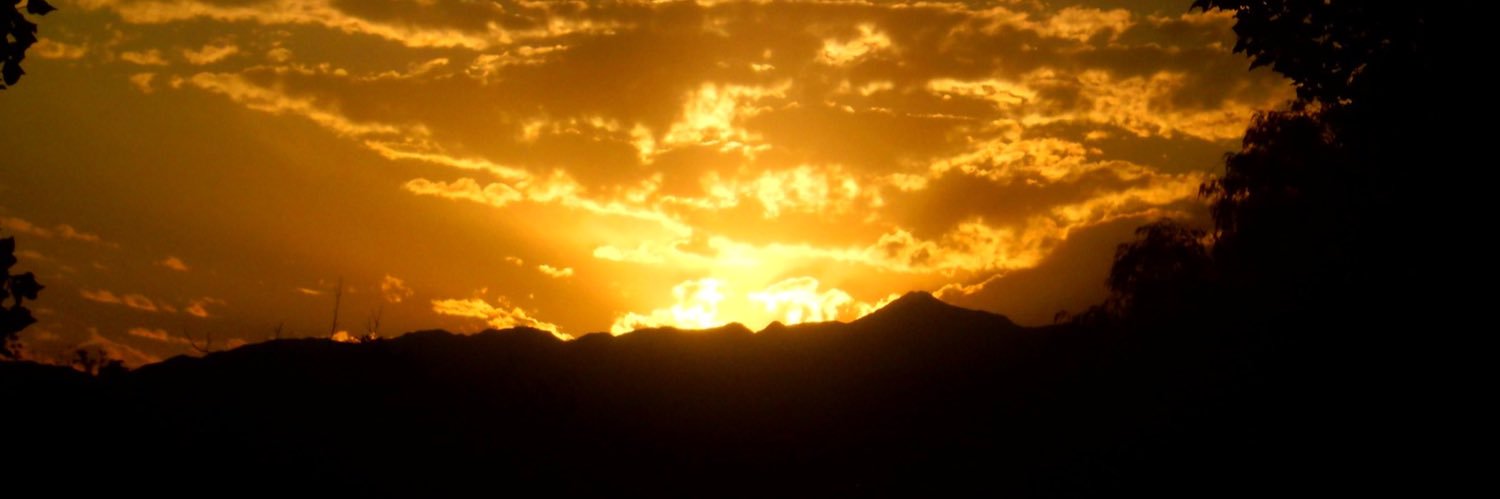 leamercau1's profile banner image