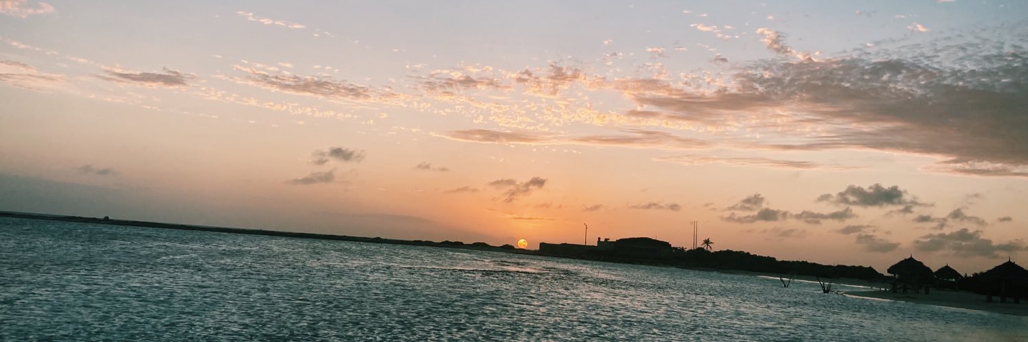 Nicole Luongo banner