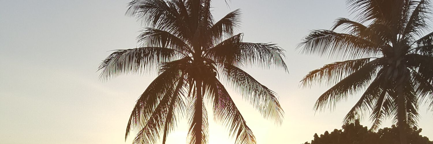 brett_fink's profile banner image