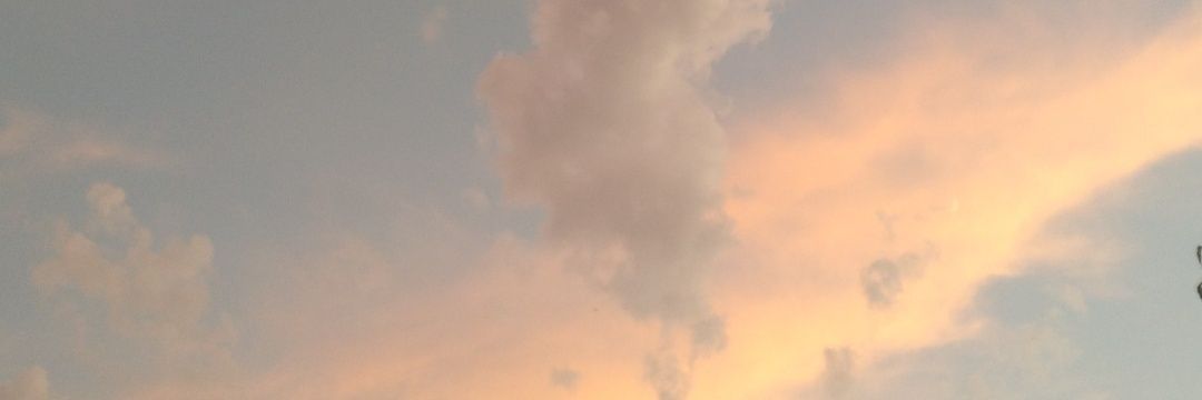 misss_legolas's profile banner image