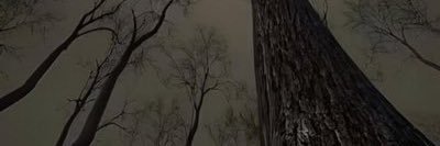 جـــيـــ لا ن banner