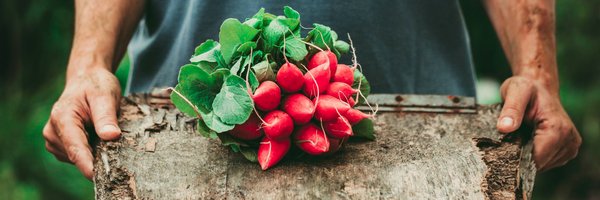 EdibleAVL Profile Banner