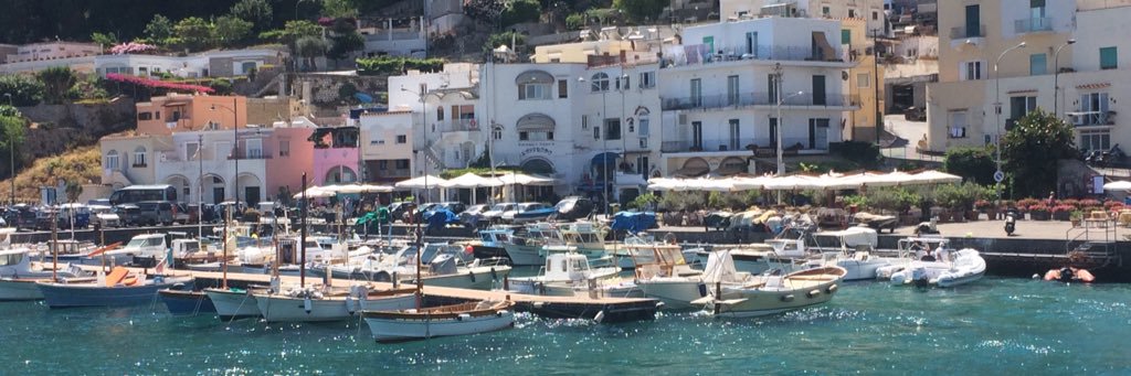 Katelyn Deckelbaum banner