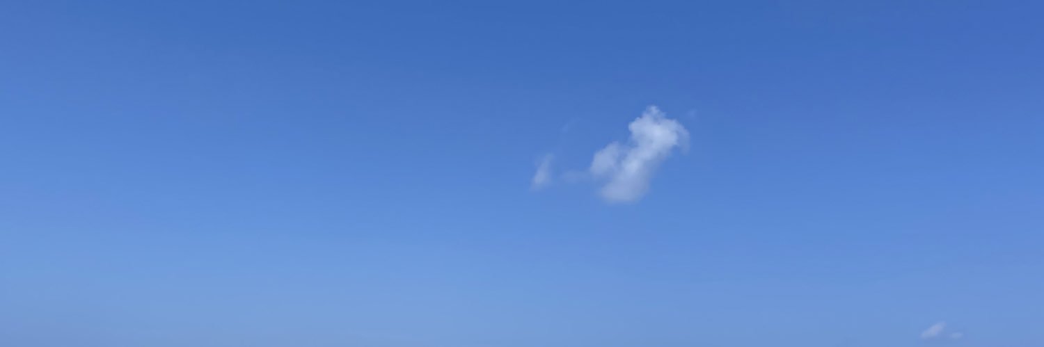tetopet's profile banner image