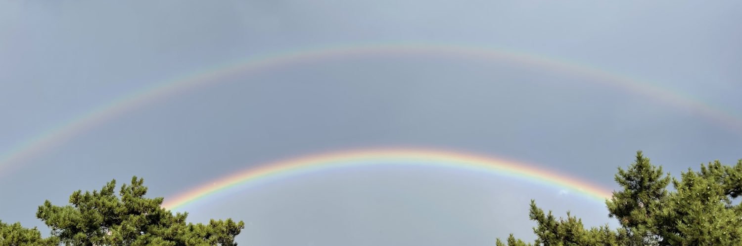 annah978's profile banner image