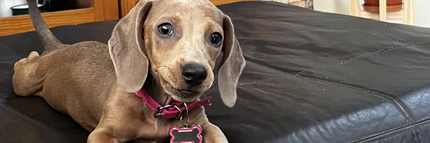 Cᴀᴍɪʟᴀ banner