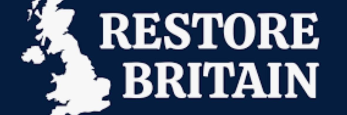 Suzie 🏴󠁧󠁢󠁷󠁬󠁳󠁿🌸💚🤍💜🦕 banner