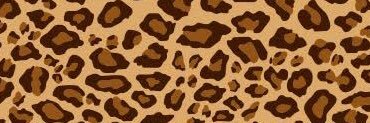🐆ICHILOW🐆 banner