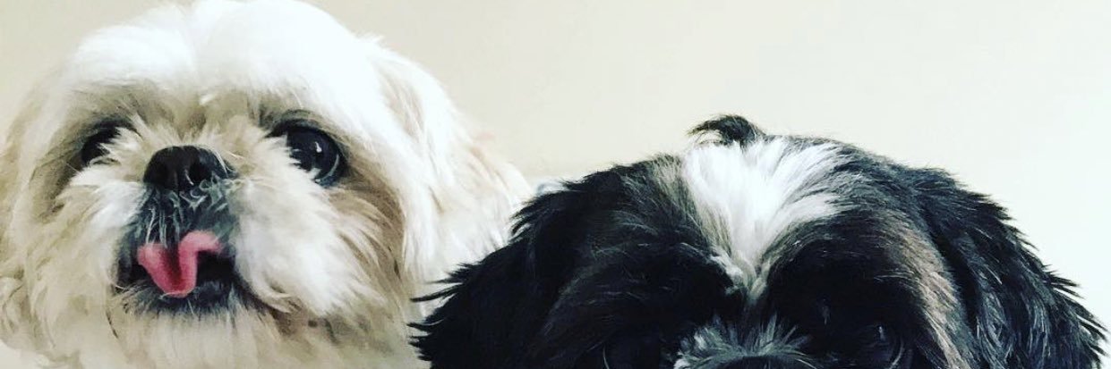 AuttySage's profile banner image