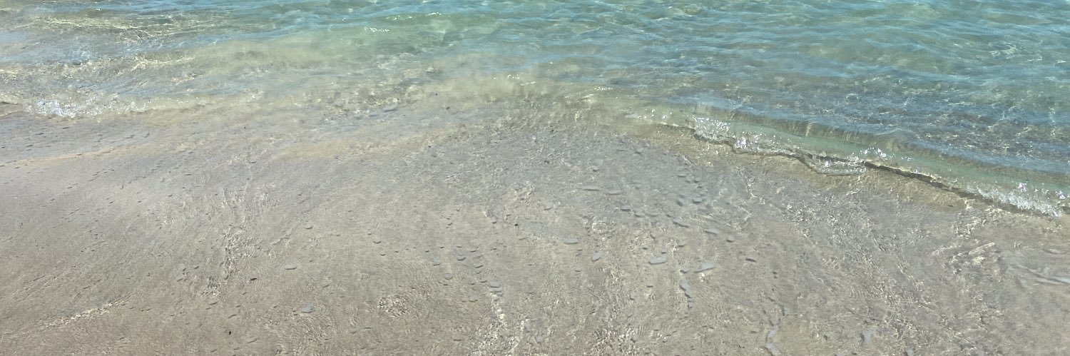 lindencollo's profile banner image