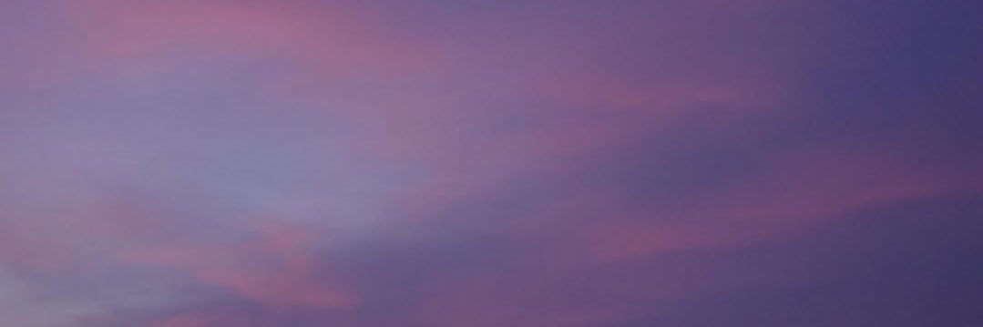 Noiskunn's profile banner image