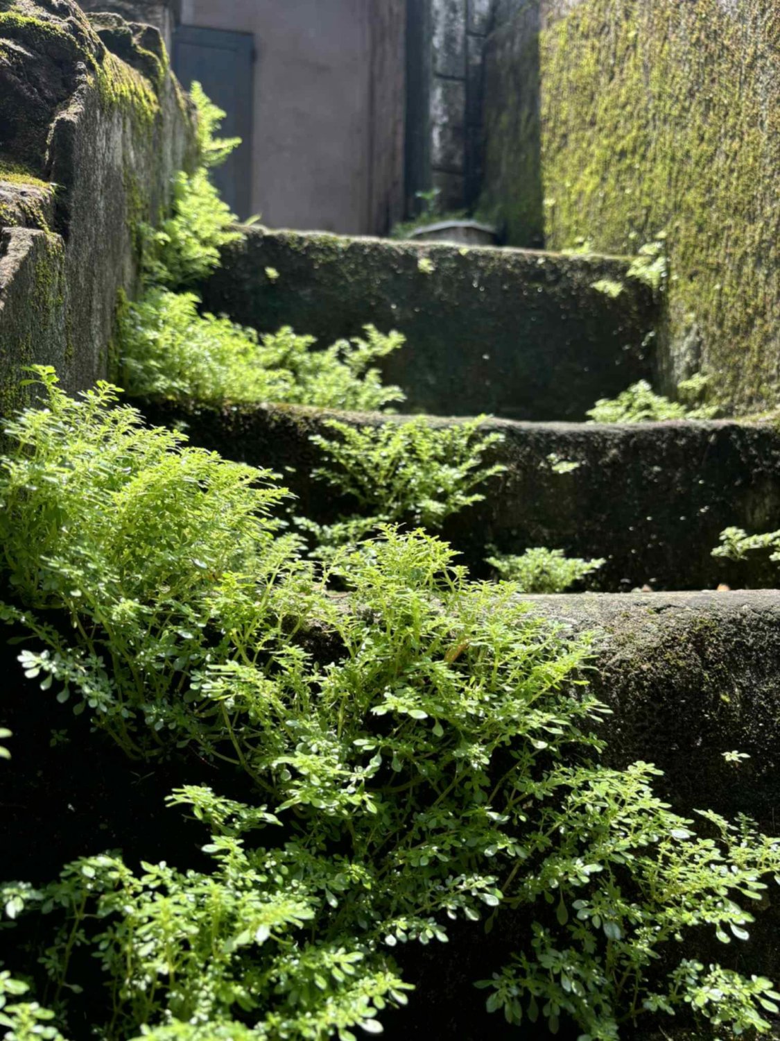 Nguyen Cong Tung 阮功松 banner