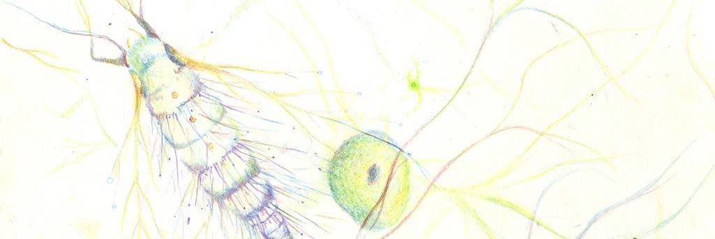 HeyLightness's profile banner image