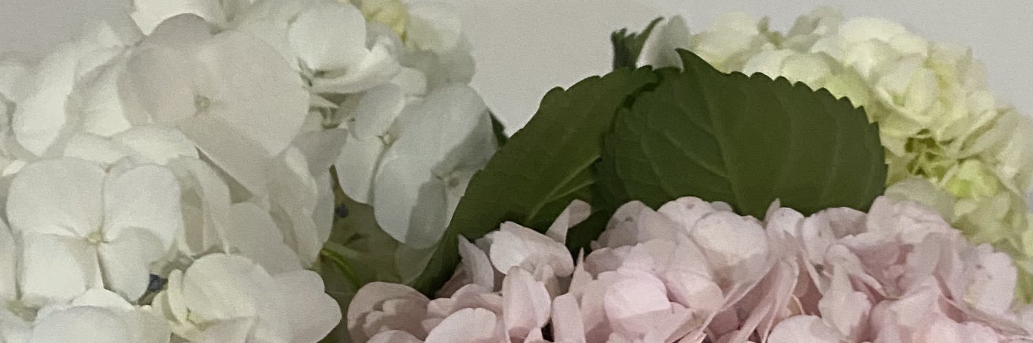 lau p banner