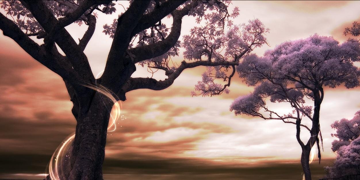 LouiseRow's profile banner image