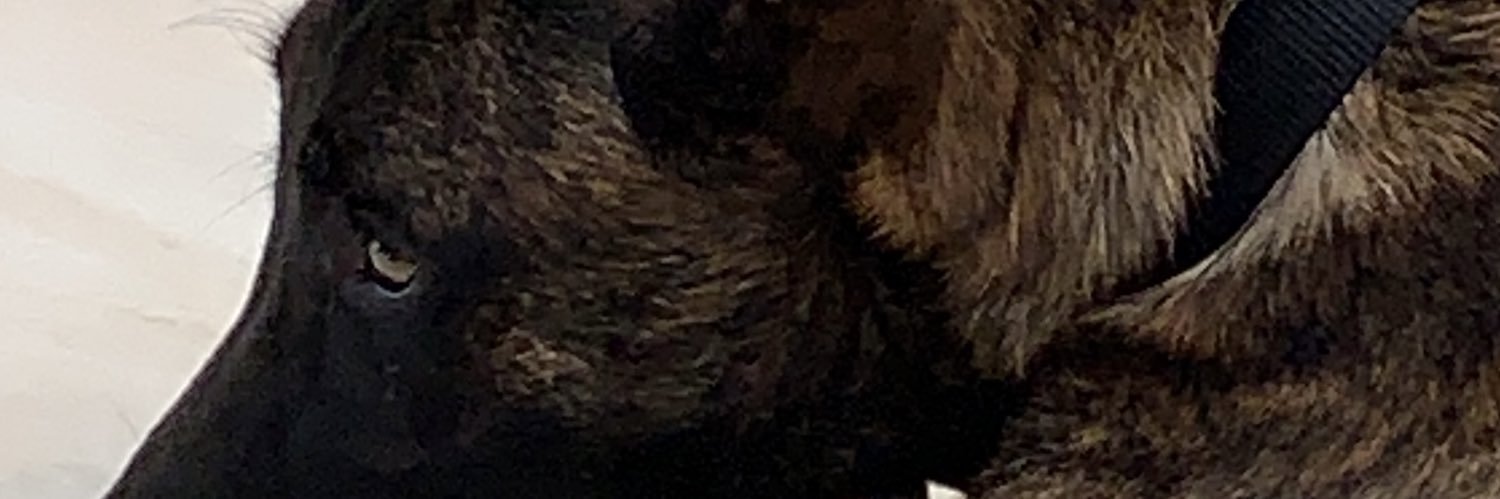 hashour's profile banner image