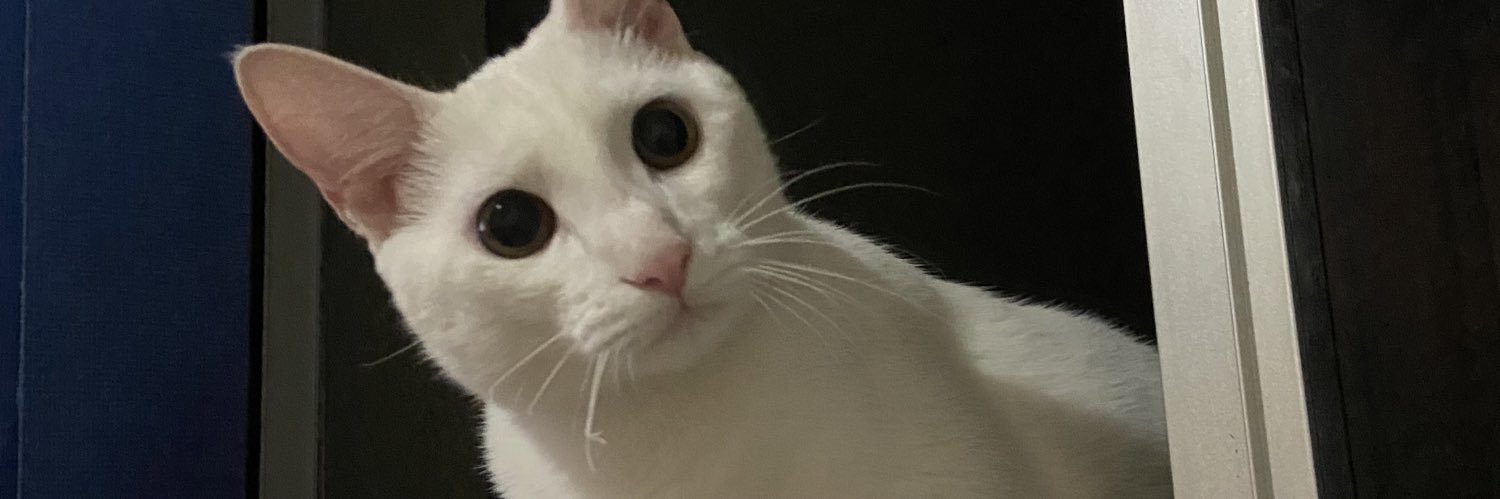 ViniCec21's profile banner image