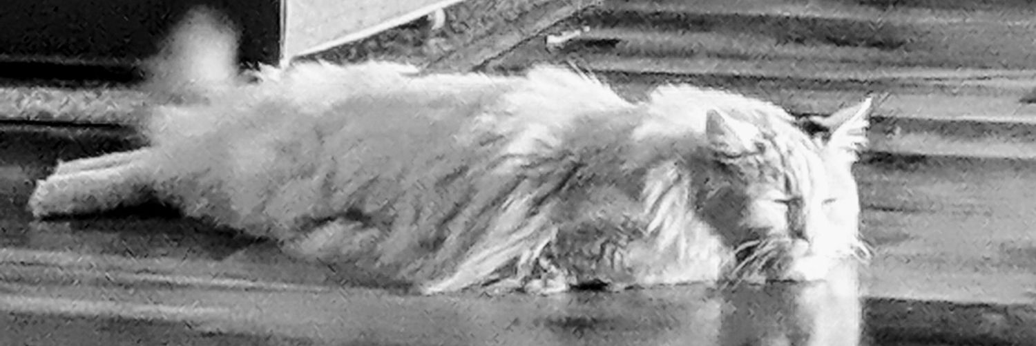 MCT_79's profile banner image
