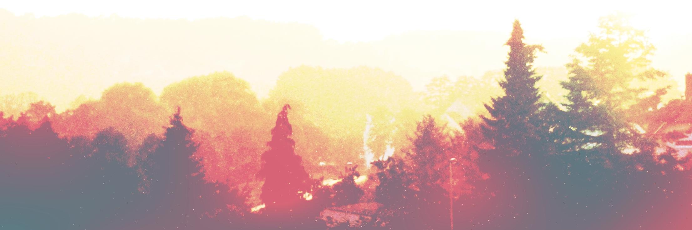 kriszebra's profile banner image