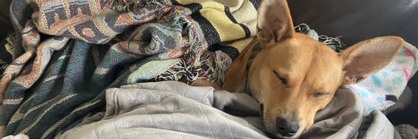 ccechohawk Profile Banner