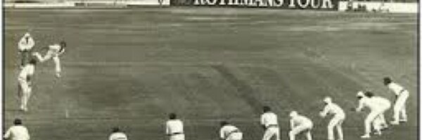 Cricketbatcat Profile Banner