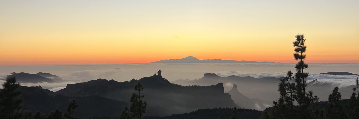 AinhoaaMiranda's profile banner image