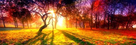 Compassionate_W's profile banner image