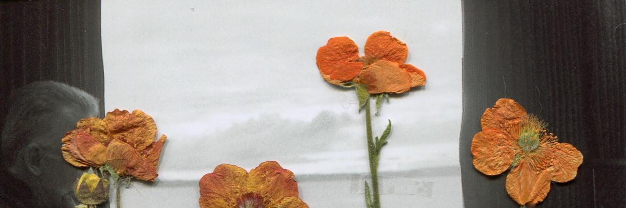 harshdream's profile banner image