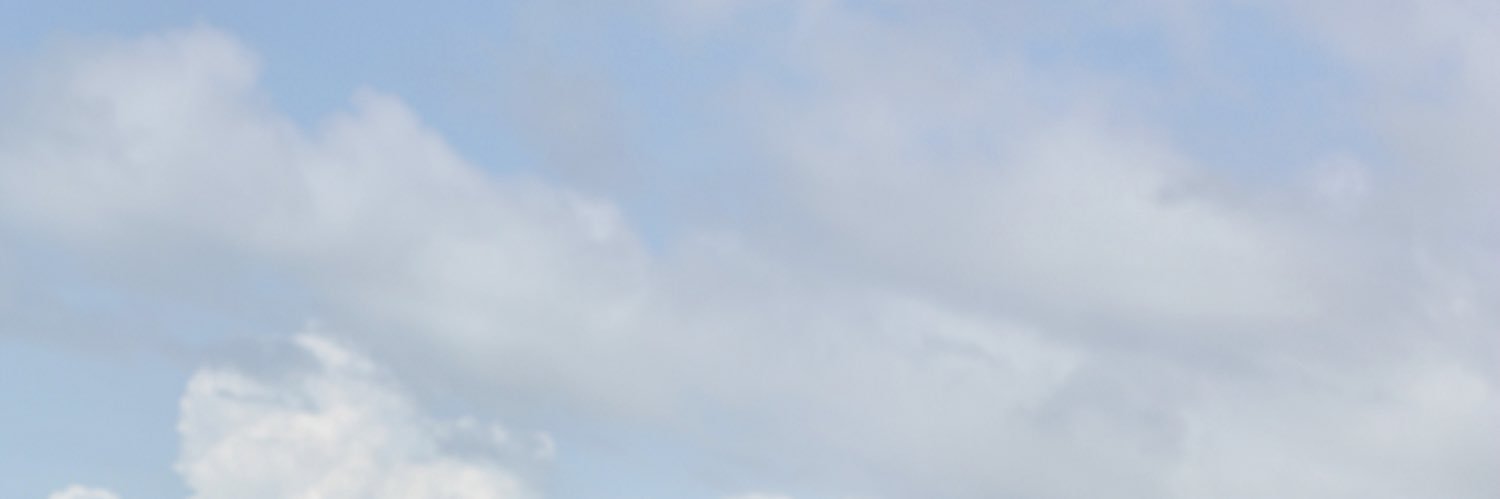Aleacevesg's profile banner image