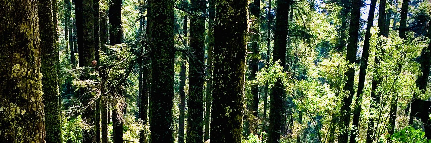JairoLandin_'s profile banner image