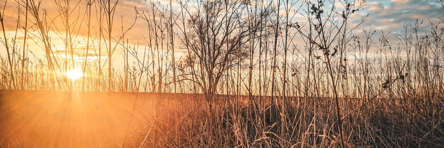 basedalx's profile banner image