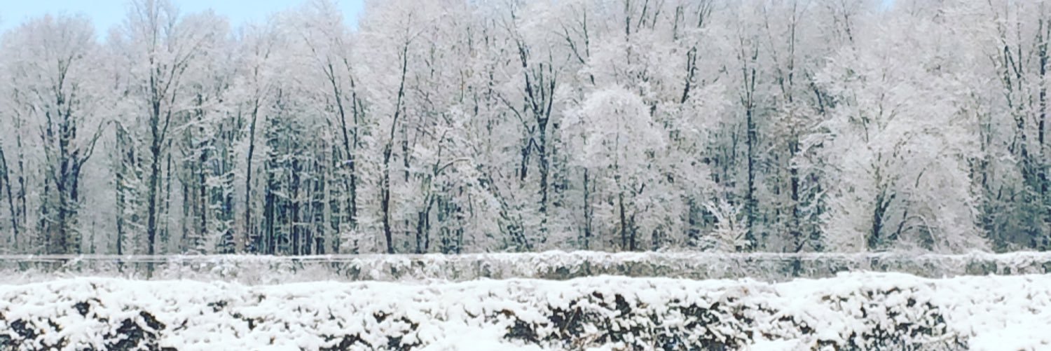 kay_bear92's profile banner image