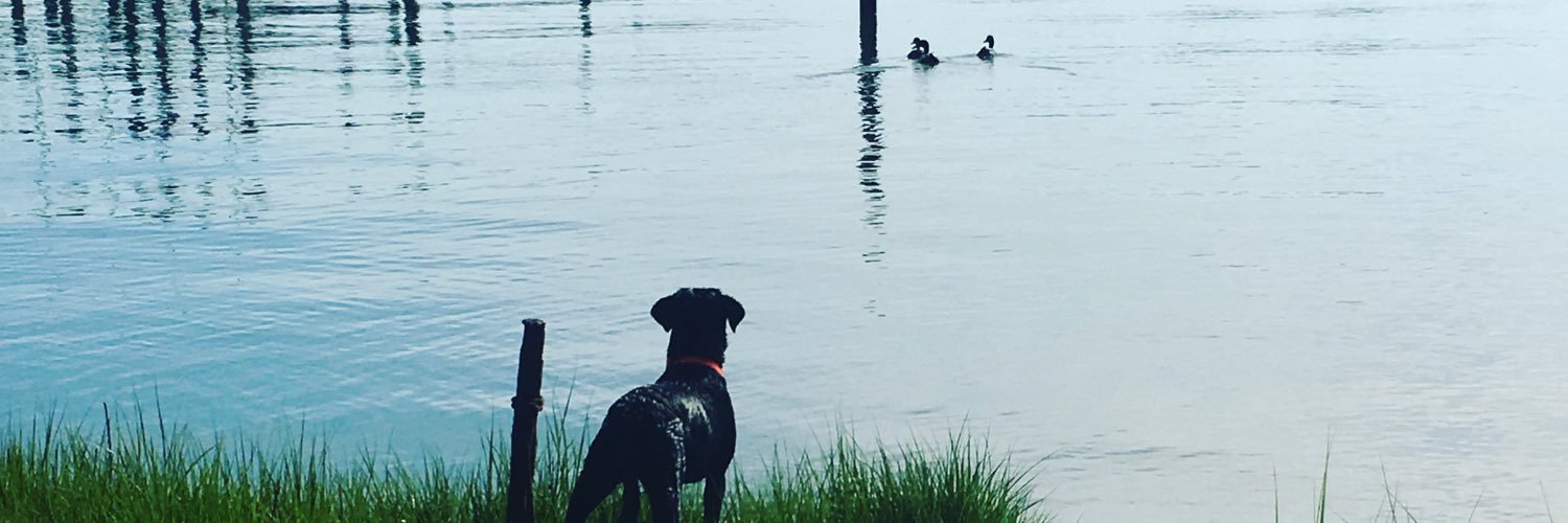 sweet58dee's profile banner image
