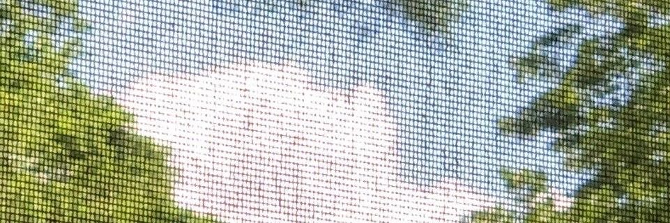 theo banner