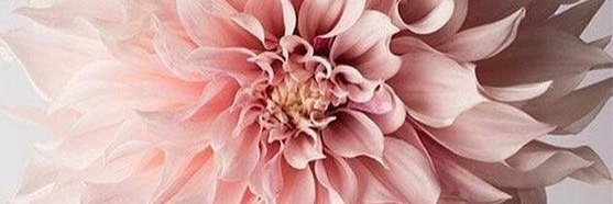 DMSHealthCoach's profile banner image