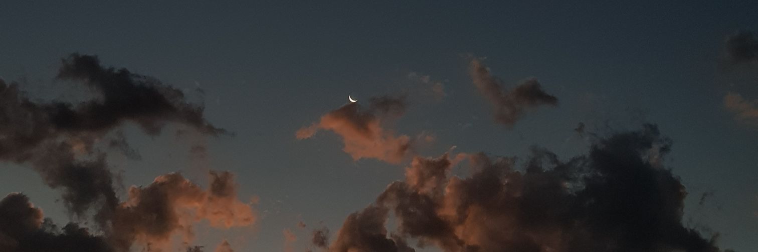 FlorMarconi's profile banner image
