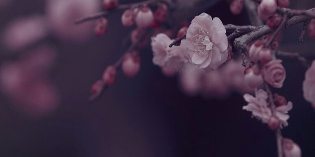 D6alal's profile banner image
