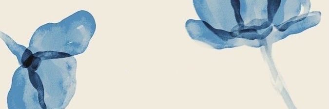 camzzz____'s profile banner image