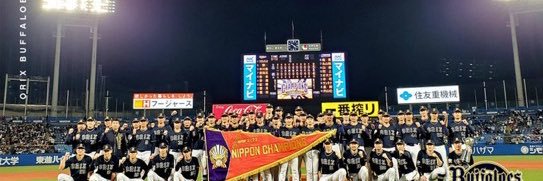 のった nao banner